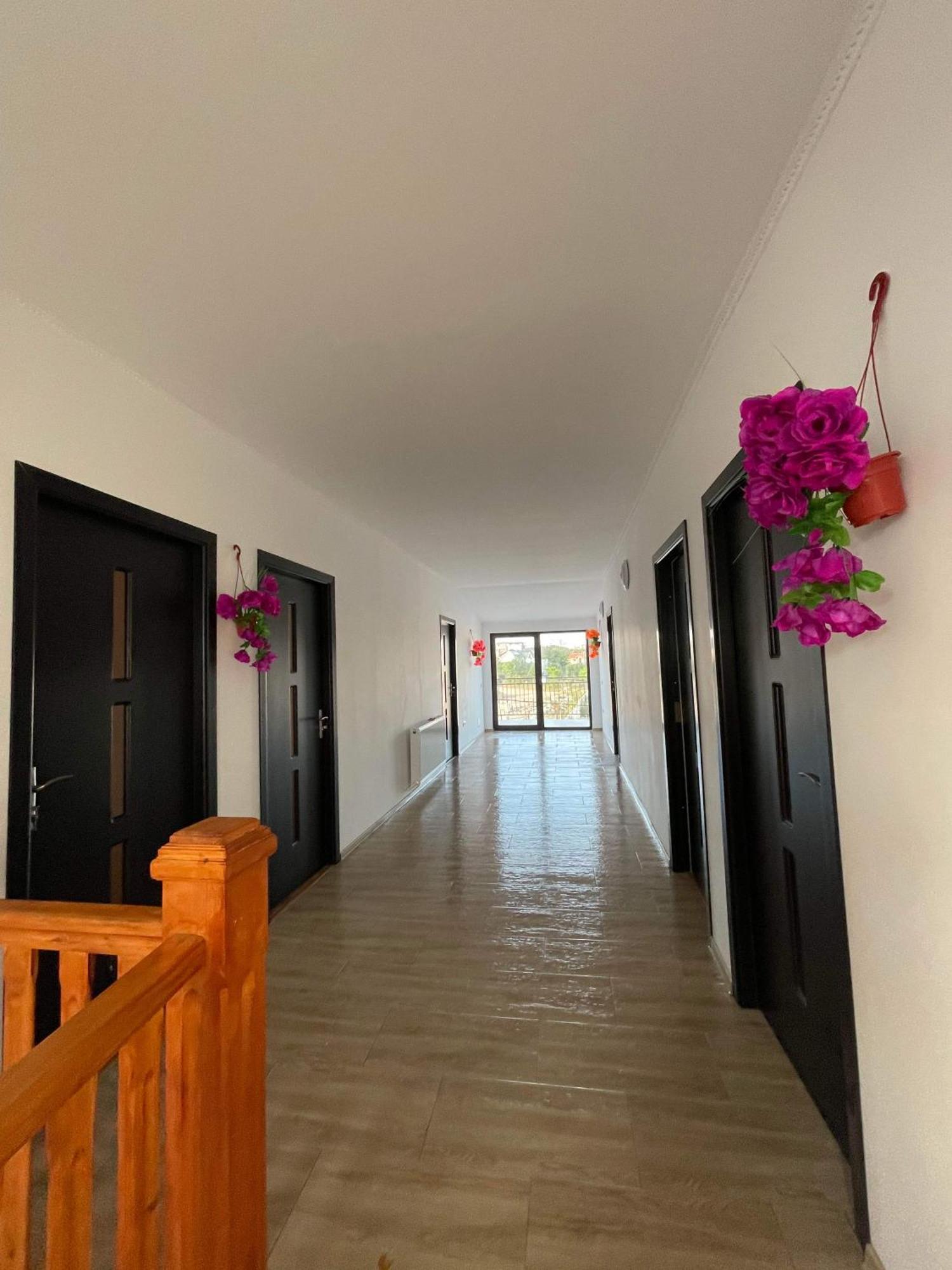 Vila Sofia Iasmin Hotel Eforie Bagian luar foto